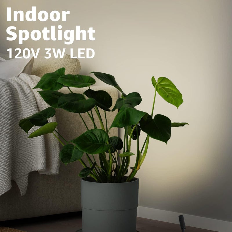 URTOM 2 Pack Indoor Spotlight LED Up Lights for Plant 120V Floor Spot Lights Accent Light Indoor Uplighting Warm White Spotlight Lamp Accent Lighting LED Uplight, 5.9 FT Plug Cord with Foot Switch - Image 2